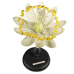 Статуэтка Tilia варинант исполнения - 1 | Loft Concept в Кирове