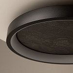 Потолочный светильник Orign 3000К варинант исполнения - 5 | Loft Concept в Кирове