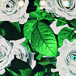 Штора Seletti Roses варинант исполнения - 1 | Loft Concept в Кирове
