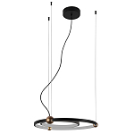 Люстра подвесная светодиодная черный металл Ring Horizontal варинант исполнения - 2 | Loft Concept в Кирове
