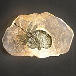 Бра Декоративный лист с стрекозой Glacial Fragment варинант исполнения - 2 | Loft Concept в Кирове