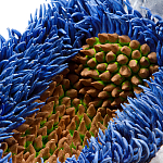 Дизайнерская статуэтка для интерьера Tropical Fruit Pandora 12 варинант исполнения - 3 | Loft Concept в Кирове