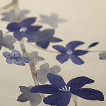 Обои ручная роспись Cherry Tree Original colourway on Stone Ochre dyed silk варинант исполнения - 3 | Loft Concept в Кирове
