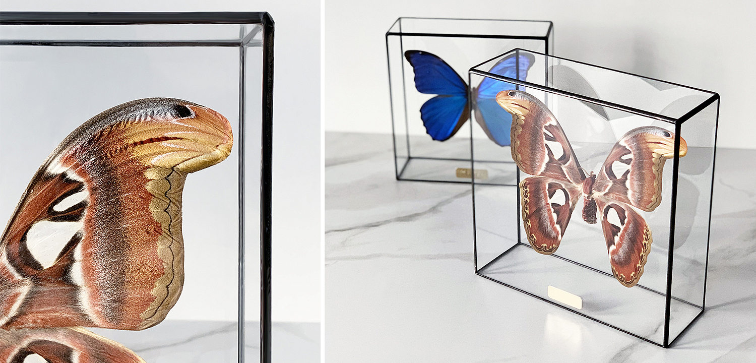 Статуэтка Butterfly Atlas Glass Box - Loft-Concept в Кирове