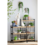 Кашпо Curly baby варинант исполнения - 4 | Loft Concept в Кирове