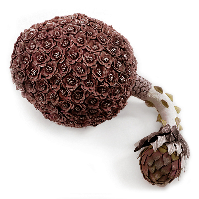 Коричневый фрукт Exotic Fruit Artichoke Brown 42 Коричневый Коричневый фрукт Exotic Fruit Artichoke Brown 42 Коричневый в Кирове | Loft Concept