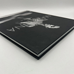 Коллекционная редкая книга Madonna: Nudes + by Martin H.M. Schreiber 2017 Букинистика варинант исполнения - 4 | Loft Concept в Кирове