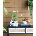 Кашпо A collection of baby rabbits варинант исполнения - 5 | Loft Concept в Кирове