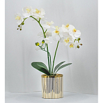 Декоративный искусственное растение Lush Orchid варинант исполнения - 2 | Loft Concept в Кирове