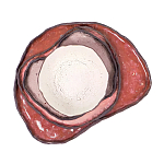 Сет из 4-х тарелок «QARTZITE» варинант исполнения - 5 | Loft Concept в Кирове