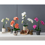 Декоративный искусственное растение Pink orchid варинант исполнения - 11 | Loft Concept в Кирове