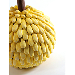 Статуэтка тропический фрукт Pandora Tropical Fruit Yellow Emerald Flower варинант исполнения - 2 | Loft Concept в Кирове