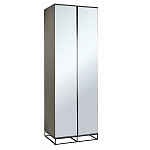 Двухдверный шкаф с зеркальными дверцами Strict Lines варинант исполнения - 1 | Loft Concept в Кирове