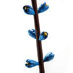 Синий экзотический фрукт статуэтка для интерьераTropical Fruit Pandora 9 варинант исполнения - 2 | Loft Concept в Кирове