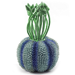 Статуэтка экзотический фрукт Exotic Tropical Fruit Green and Blue 64 варинант исполнения - 1 | Loft Concept в Кирове