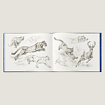 Лимитированная подарочная книга HERMES Fierce and Fragile book, English version варинант исполнения - 4 | Loft Concept в Кирове