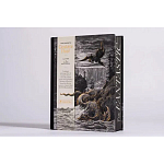 Книга Fantastic Gustave Dore варинант исполнения - 3 | Loft Concept в Кирове