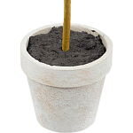 Декоративный искусственное растение Boxwood One варинант исполнения - 3 | Loft Concept в Кирове