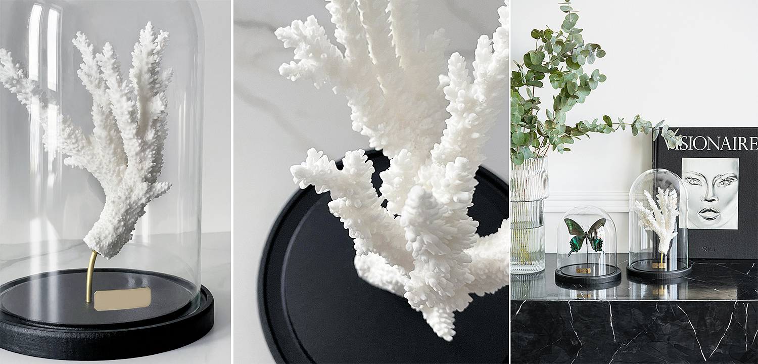 Статуэтка Natural Coral Branch Glass Cloche Статуэтка Natural Coral Branch Glass Cloche - Loft-Concept в Кирове