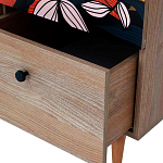 Шкаф с принтом Kario варинант исполнения - 3 | Loft Concept в Кирове