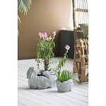 Кашпо A collection of baby rabbits варинант исполнения - 4 | Loft Concept в Кирове