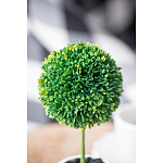 Декоративный искусственное растение Boxwood One варинант исполнения - 8 | Loft Concept в Кирове