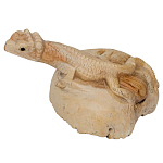 Статуэтка из дерева ящерица Animals of the World варинант исполнения - 2 | Loft Concept в Кирове