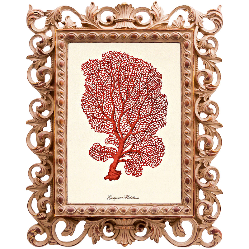 Постер Red Coral Poster 5 Бежевый Красный Постер Red Coral Poster 5 Бежевый Красный в Кирове | Loft Concept