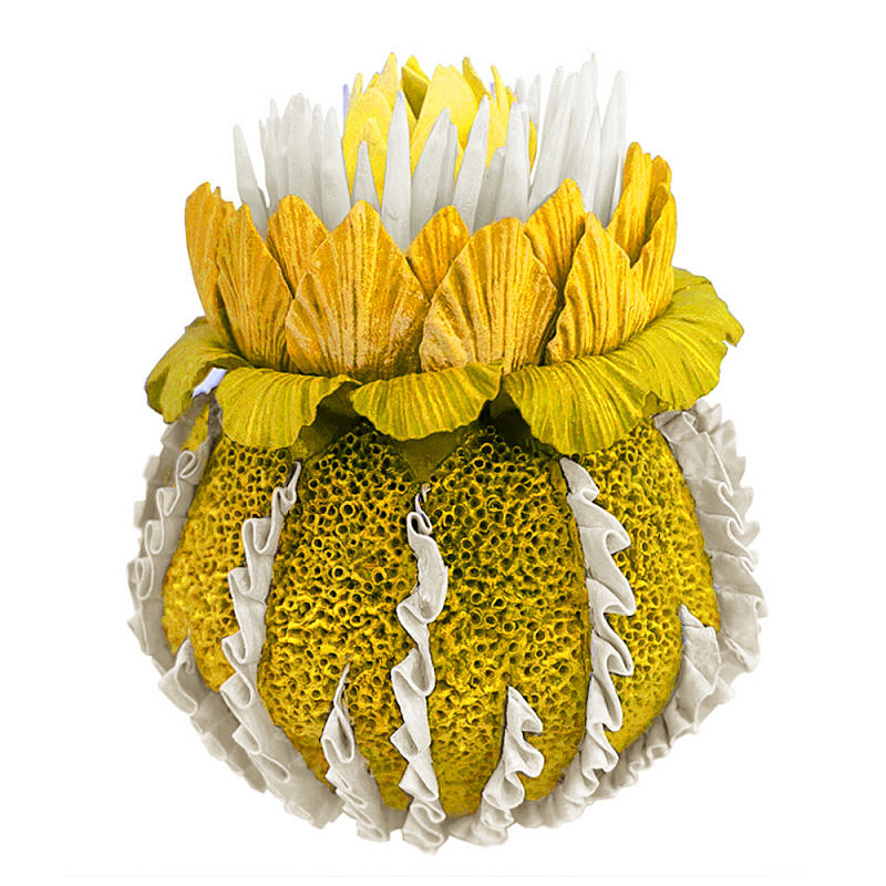 Желтый Экзотический фрукт Yellow Pandora Exotic Fruit  44 Желтый в Кирове | Loft Concept 