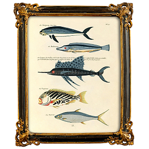 Постер в багетной раме Seabed Print 5