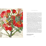 Прекрасно иллюстрированная книга более 100 ботанических произведений Plant Hunters Atlas варинант исполнения - 5 | Loft Concept в Кирове