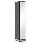 Шкаф-пенал с зеркальной дверцей и фасадом цвета графит Strict Lines варинант исполнения - 2 | Loft Concept в Кирове