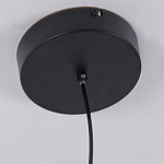 Люстра подвесная светодиодная черный металл Ring Horizontal варинант исполнения - 6 | Loft Concept в Кирове