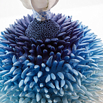 Статуэтка Синий тропический фрукт Tropical Fruit Pandora 4 варинант исполнения - 1 | Loft Concept в Кирове