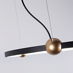 Люстра подвесная светодиодная черный металл Ring Horizontal варинант исполнения - 3 | Loft Concept в Кирове
