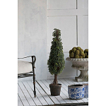 Декоративный искусственное растение Boxwood tree варинант исполнения - 6 | Loft Concept в Кирове