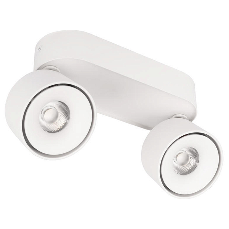 Накладной спот светодиодный металлический на овальном основании с двумя поворотными плафонами цилиндрической формы Dynamic Edge  Черный Белый в Кирове | Loft Concept 