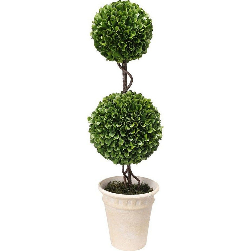 Декоративный искусственное растение Boxwood Зеленый Бежевый Коричневый Декоративный искусственное растение Boxwood Зеленый Бежевый Коричневый в Кирове | Loft Concept