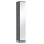 Шкаф-пенал с зеркальной дверцей и фасадом цвета графит Strict Lines варинант исполнения - 1 | Loft Concept в Кирове