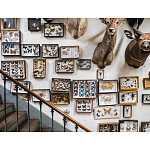 Книга Extraordinary Collections: French Interiors варинант исполнения - 11 | Loft Concept в Кирове