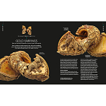 Книга Treasures of India From Antiquity to Modernity варинант исполнения - 3 | Loft Concept в Кирове