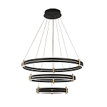 Люстра светодиодная с 3-мя плафонами в форме колец из акрила и алюминия с пультом для регулировки света Ring Horizontal Anthracite варинант исполнения - 6 | Loft Concept в Кирове