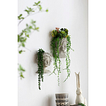 Кашпо Curly baby варинант исполнения - 5 | Loft Concept в Кирове