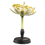 Статуэтка Tilia варинант исполнения - 2 | Loft Concept в Кирове