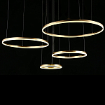 Люстра подвесная светодиодная Jewelry Ring варинант исполнения - 4 | Loft Concept в Кирове