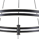 Люстра светодиодная с 2-мя плафонами в форме колец из акрила и алюминия с пультом для регулировки света Ring Horizontal Black варинант исполнения - 3 | Loft Concept в Кирове