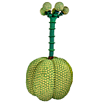 Статуэтка Зеленый тропический фрукт Pandora Tropical Light Green 69 варинант исполнения - 3 | Loft Concept в Кирове