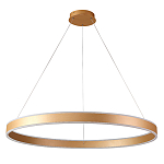 Люстра подвесная светодионая кольцевая золотого цвета Ring Horizontal варинант исполнения - 1 | Loft Concept в Кирове