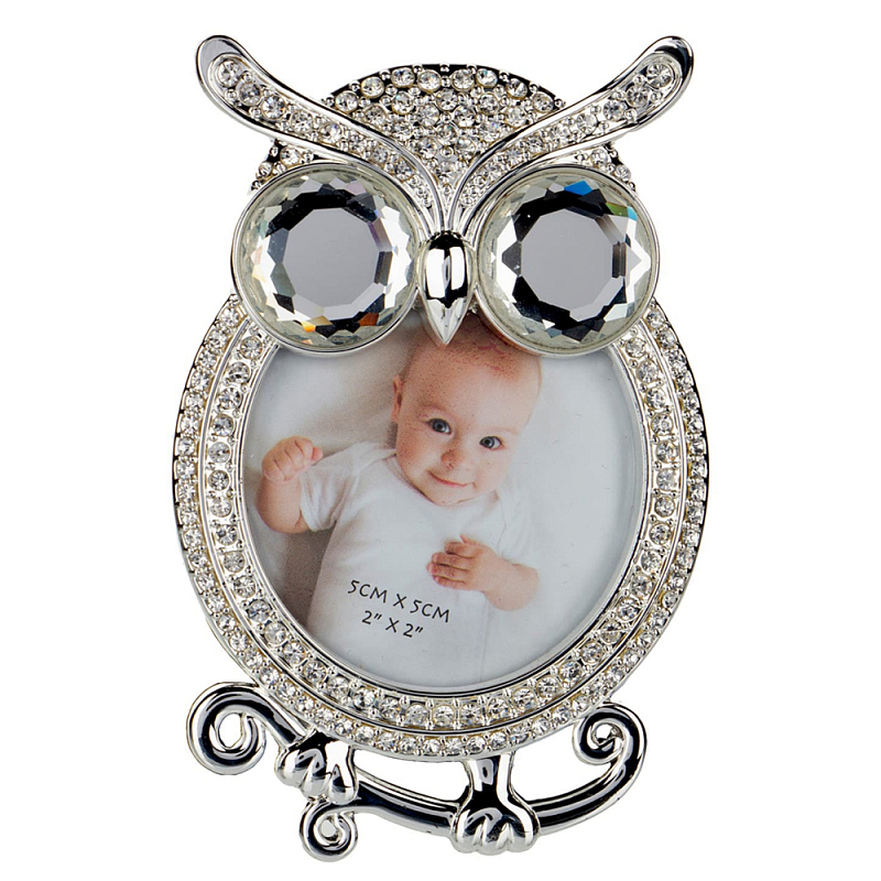 Фоторамка детская Childhood Corner  Owl Серебряный в Кирове | Loft Concept 