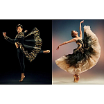 Книга New York City Ballet: Choreography and Couture варинант исполнения - 1 | Loft Concept в Кирове
